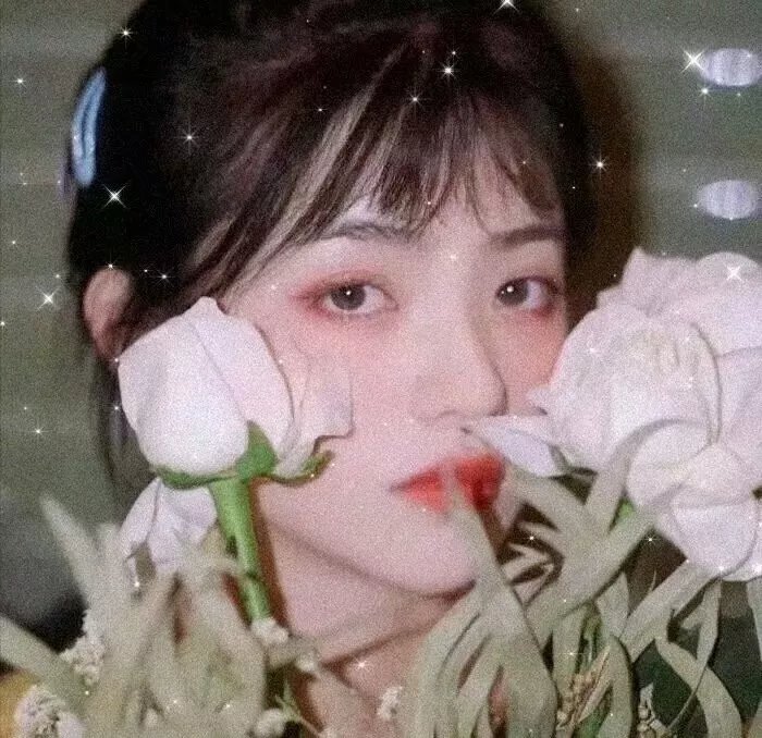 妹妹公主第二季